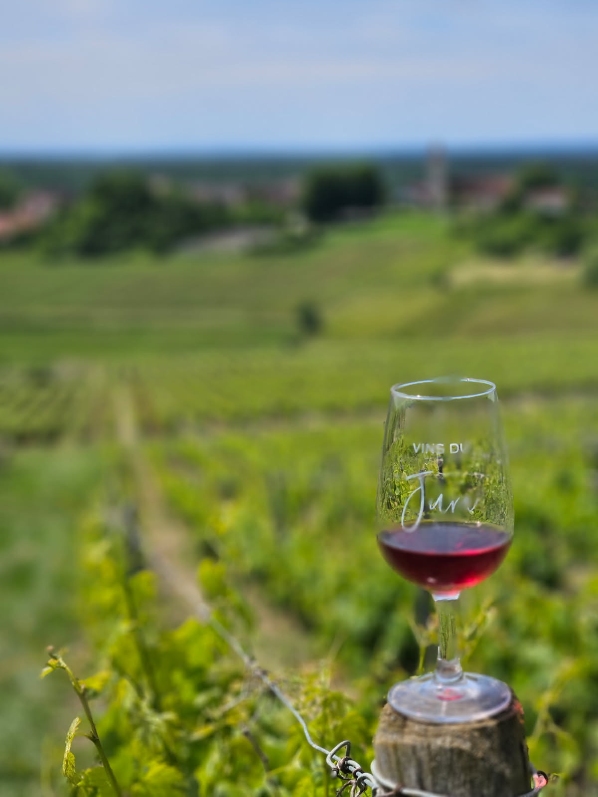 Vignes du Jura aux Domaines de l'Aplume et Sylvain Faudot
