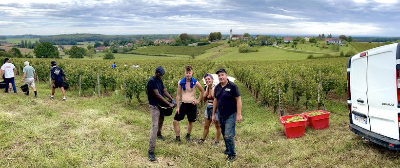 Dans les rangs, face au village
