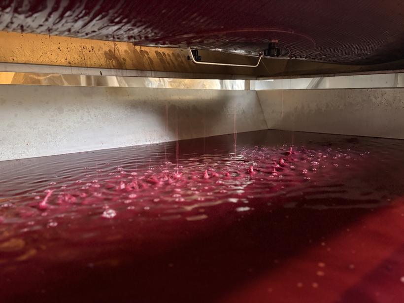 Jus rouge en cuve